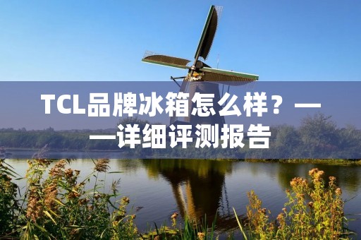 TCL品牌冰箱怎么样?——详细评测报告 TCL品牌冰箱怎么样?——详细评测报告