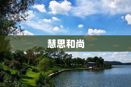 慧思和尚:用智慧和慈悲引导众生 慧思和尚:用智慧和慈悲引导众生