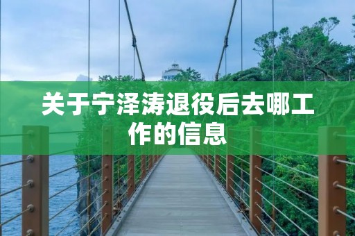 关于宁泽涛退役后去哪工作的信息 关于宁泽涛退役后去哪工作的信息