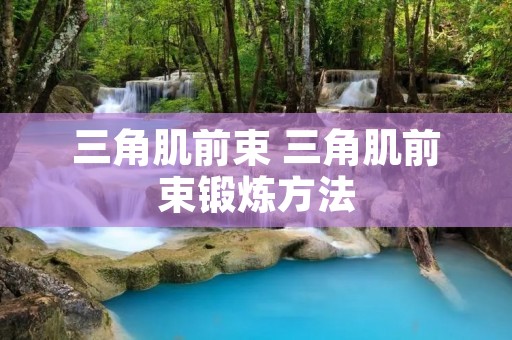 三角肌前束 三角肌前束锻炼方法 三角肌前束 三角肌前束锻炼方法