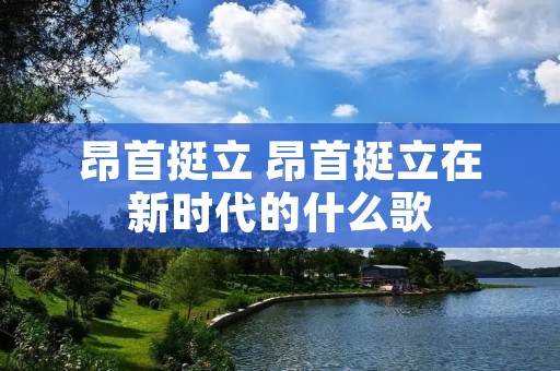 昂首挺立 昂首挺立在新时代的什么歌