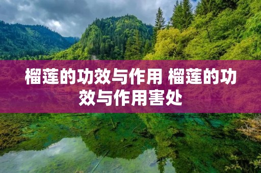 榴莲的功效与作用 榴莲的功效与作用害处
