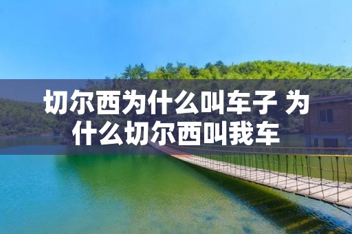 切尔西为什么叫车子 为什么切尔西叫我车 切尔西为什么叫车子 为什么切尔西叫我车