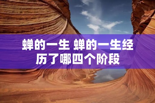 蝉的一生 蝉的一生经历了哪四个阶段 蝉的一生 蝉的一生经历了哪四个阶段