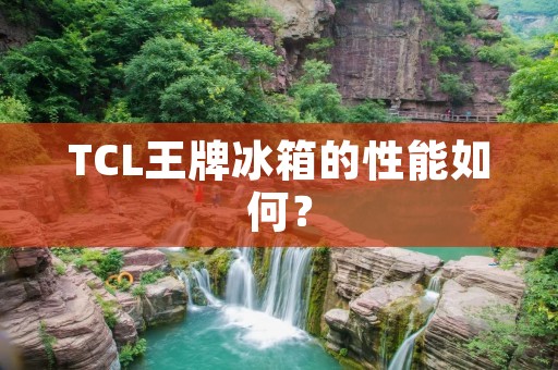 TCL王牌冰箱的性能如何? TCL王牌冰箱的性能如何?