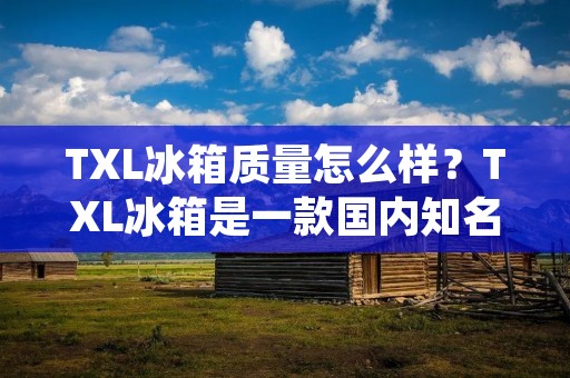 TXL冰箱质量怎么样？TXL冰箱是一款国内知名品牌，它的产品在市场上有着不错的口碑。这里我们就来详细地了解一下TXL冰箱的质量。