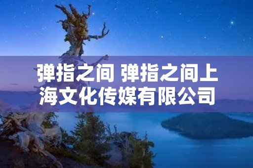 弹指之间 弹指之间上海文化传媒有限公司