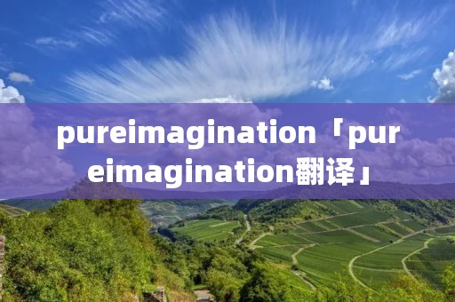 pureimagination「pureimagination翻译」