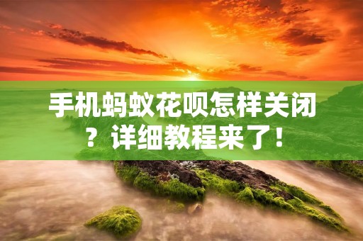手机蚂蚁花呗怎样关闭?详细教程来了!