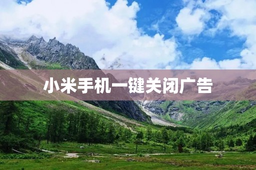 小米手机一键关闭广告:告别烦恼,享受纯净体验