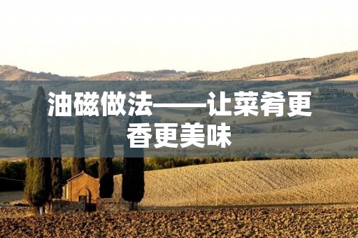 油磁做法——让菜肴更香更美味