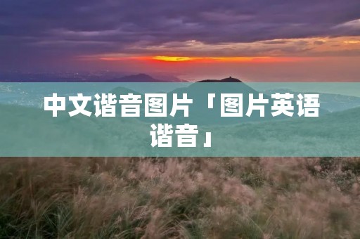 中文谐音图片「图片英语谐音」
