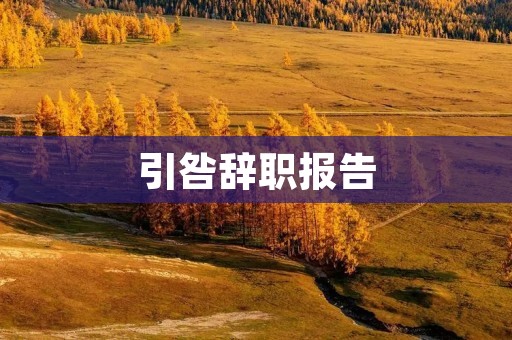 引咎辞职报告:道歉与反思