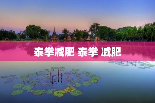 泰拳减肥 泰拳 减肥