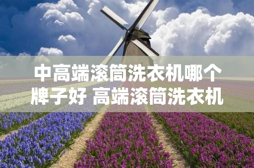 中高端滚筒洗衣机哪个牌子好 高端滚筒洗衣机与低端的区别