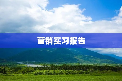 营销实习报告:基于数字化营销的品牌推广策略