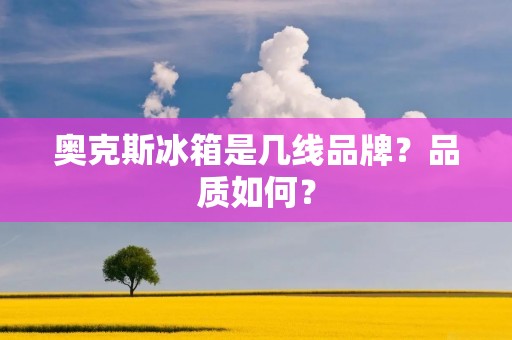 奥克斯冰箱是几线品牌？品质如何？