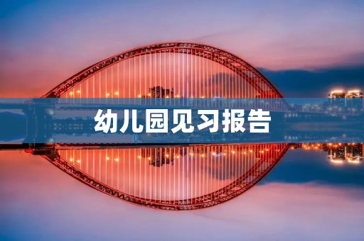 幼儿园见习报告:我与孩子的互动