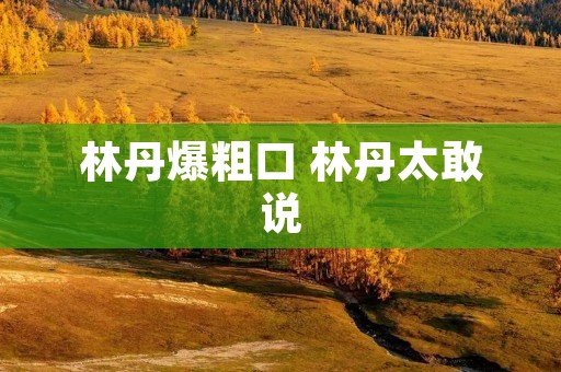 林丹爆粗口 林丹太敢说 林丹爆粗口 林丹太敢说