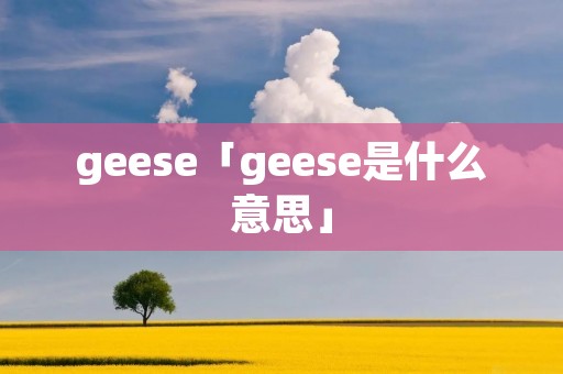 geese「geese是什么意思」