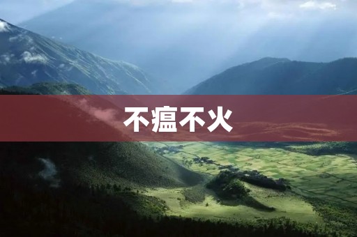 不瘟不火：探究当代年轻人的生活态度