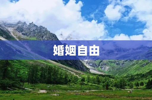 婚姻自由：权利的保障与社会的认同
