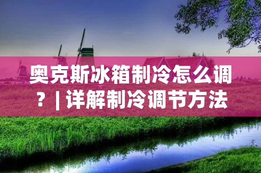 奥克斯冰箱制冷怎么调？| 详解制冷调节方法