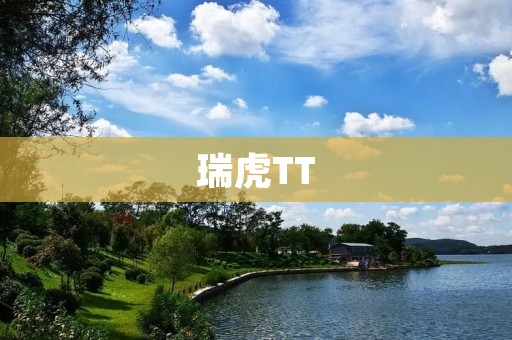 瑞虎TT：新一代智能SUV的诞生