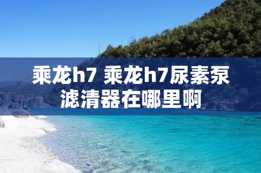 乘龙h7 乘龙h7尿素泵滤清器在哪里啊