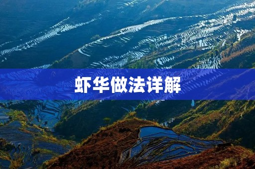 虾华做法详解:让你轻松做出美味虾华 虾华做法详解:让你轻松做出美味虾华