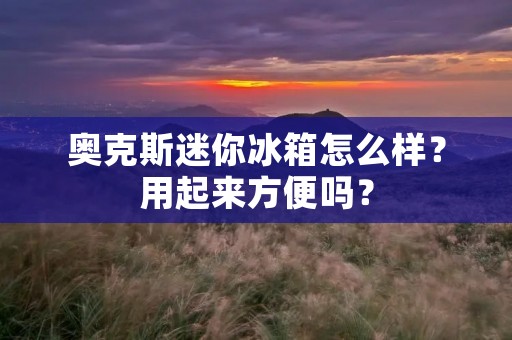 奥克斯迷你冰箱怎么样？用起来方便吗？