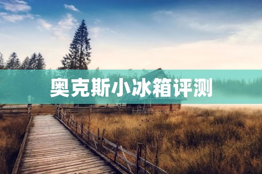 奥克斯小冰箱评测：性价比高，适合单身或小家庭使用