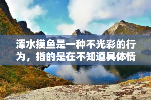 浑水摸鱼是一种不光彩的行为，指的是在不知道具体情况的情况下，盲目进行投资或交易，从而获得不正当的利益。这种行为不仅是不道德的，而且可能会给个人和社会带来巨大的损失。在现代社会中，浑水摸鱼的情况时有发生，因此，我们需要对其进行深入的研究和探讨。