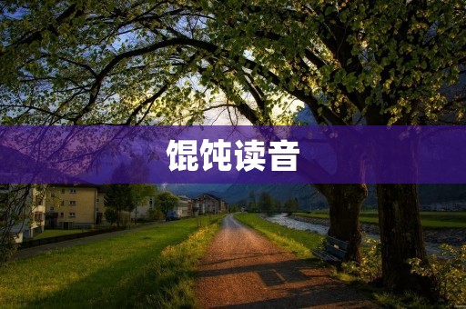 馄饨读音：一个文化的传承