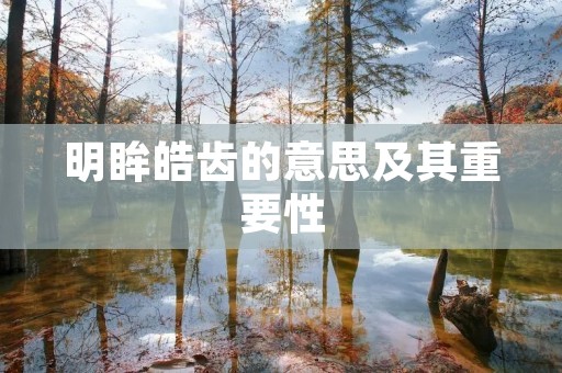 明眸皓齿的意思及其重要性