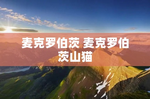 麦克罗伯茨 麦克罗伯茨山猫