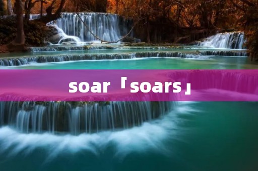 soar「soars」