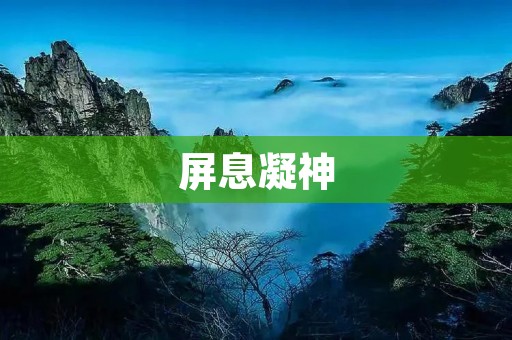 屏息凝神：让我们沉浸在当下的美妙中