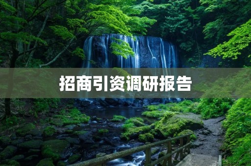 招商引资调研报告:探究当地招商环境