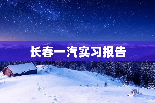 长春一汽实习报告:从制造到服务的转型之路