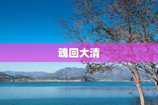 魂回大清：一个跨越时空的情感故事