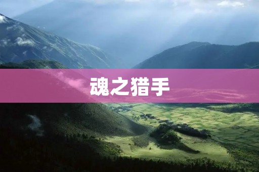 魂之猎手:一款独具特色的角色扮演游戏 魂之猎手:一款独具特色的角色扮演游戏