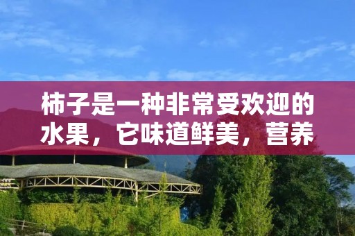 柿子是一种非常受欢迎的水果，它味道鲜美，营养丰富。柿子的种类有很多，每一种都有不同的特点和吃法。今天我们来聊一下柿种做法，让大家了解一下柿子的更多吃法。
