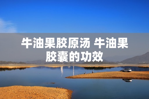 牛油果胶原汤 牛油果胶囊的功效