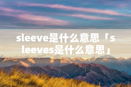 sleeve是什么意思「sleeves是什么意思」