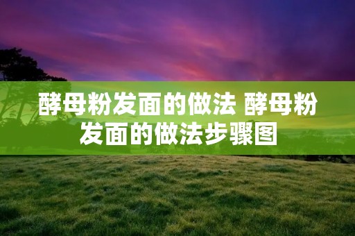 酵母粉发面的做法 酵母粉发面的做法步骤图 酵母粉发面的做法 酵母粉发面的做法步骤图
