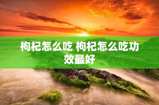 枸杞怎么吃 枸杞怎么吃功效最好