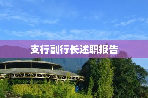 支行副行长述职报告:提升服务水平,促进业务增长