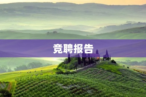 竞聘报告:我愿成为支行行长的理由和计划