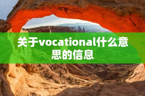 关于vocational什么意思的信息 关于vocational什么意思的信息